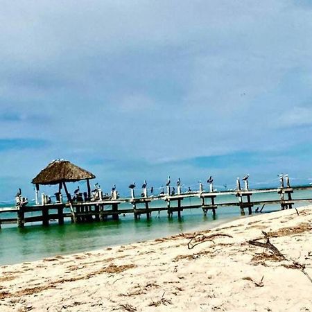 Beachfront Apartment With Swimming Pool. One Bedroom Celestun Luaran gambar