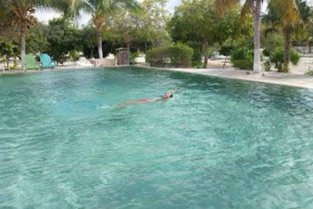 Beachfront Apartment With Swimming Pool. One Bedroom Celestun Luaran gambar
