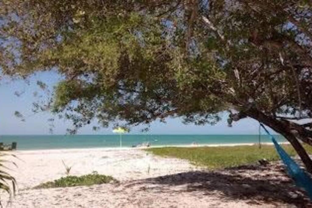 Beachfront Apartment With Swimming Pool. One Bedroom Celestun Luaran gambar